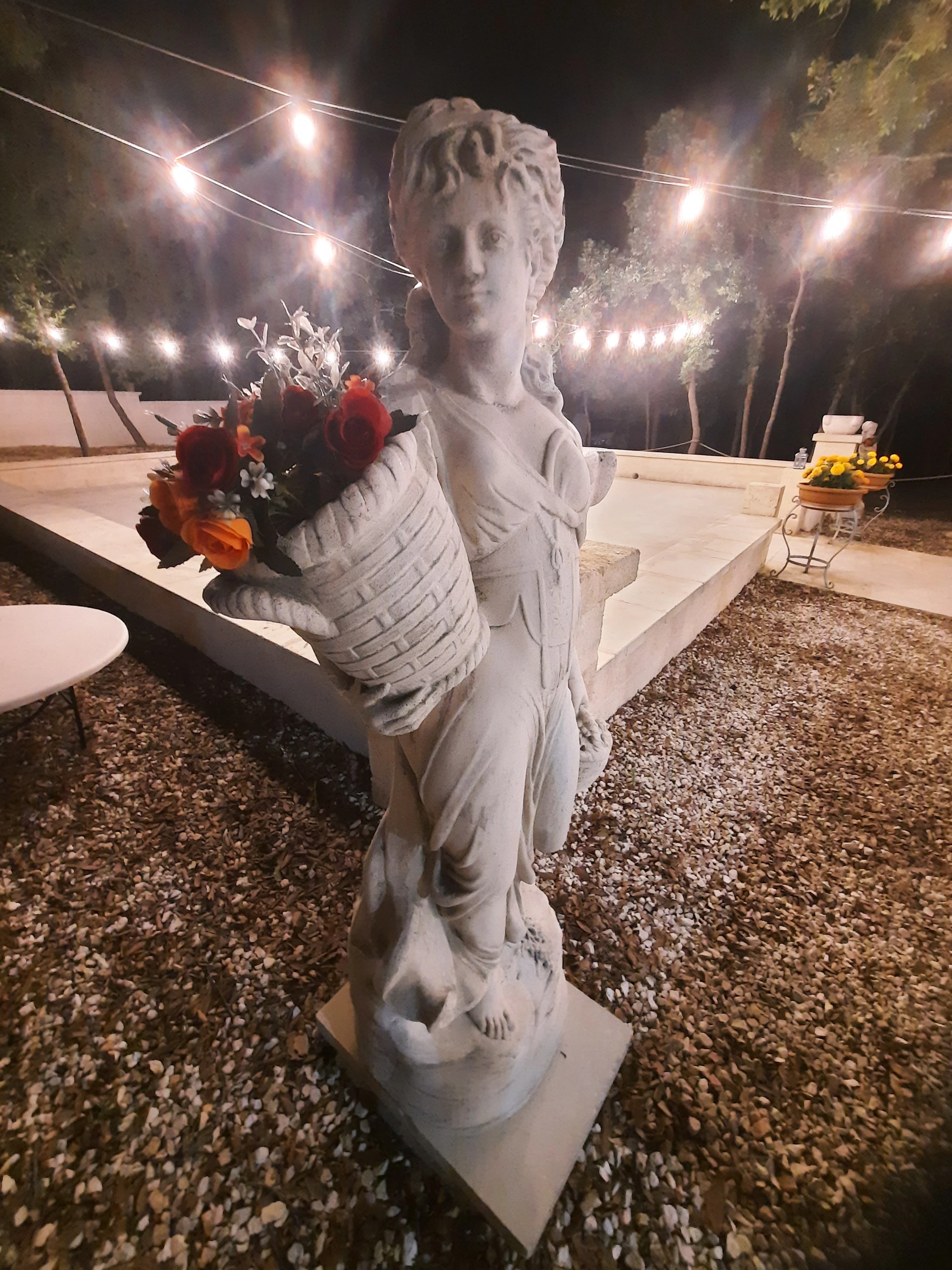 Galleria Dimora Plantone 7