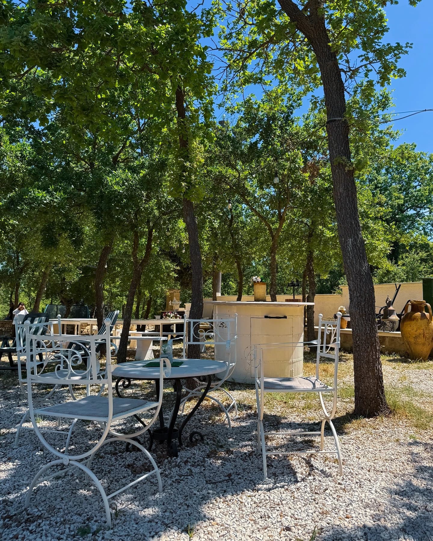 Galleria Dimora Plantone 3