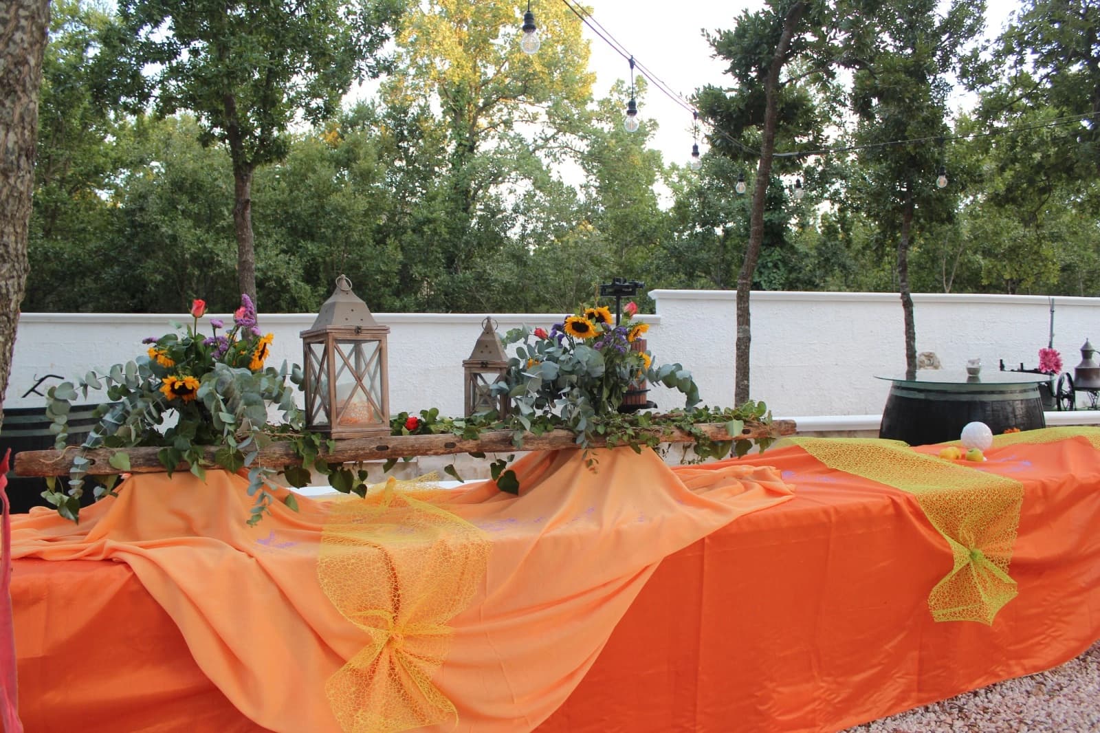 Galleria Dimora Plantone 28