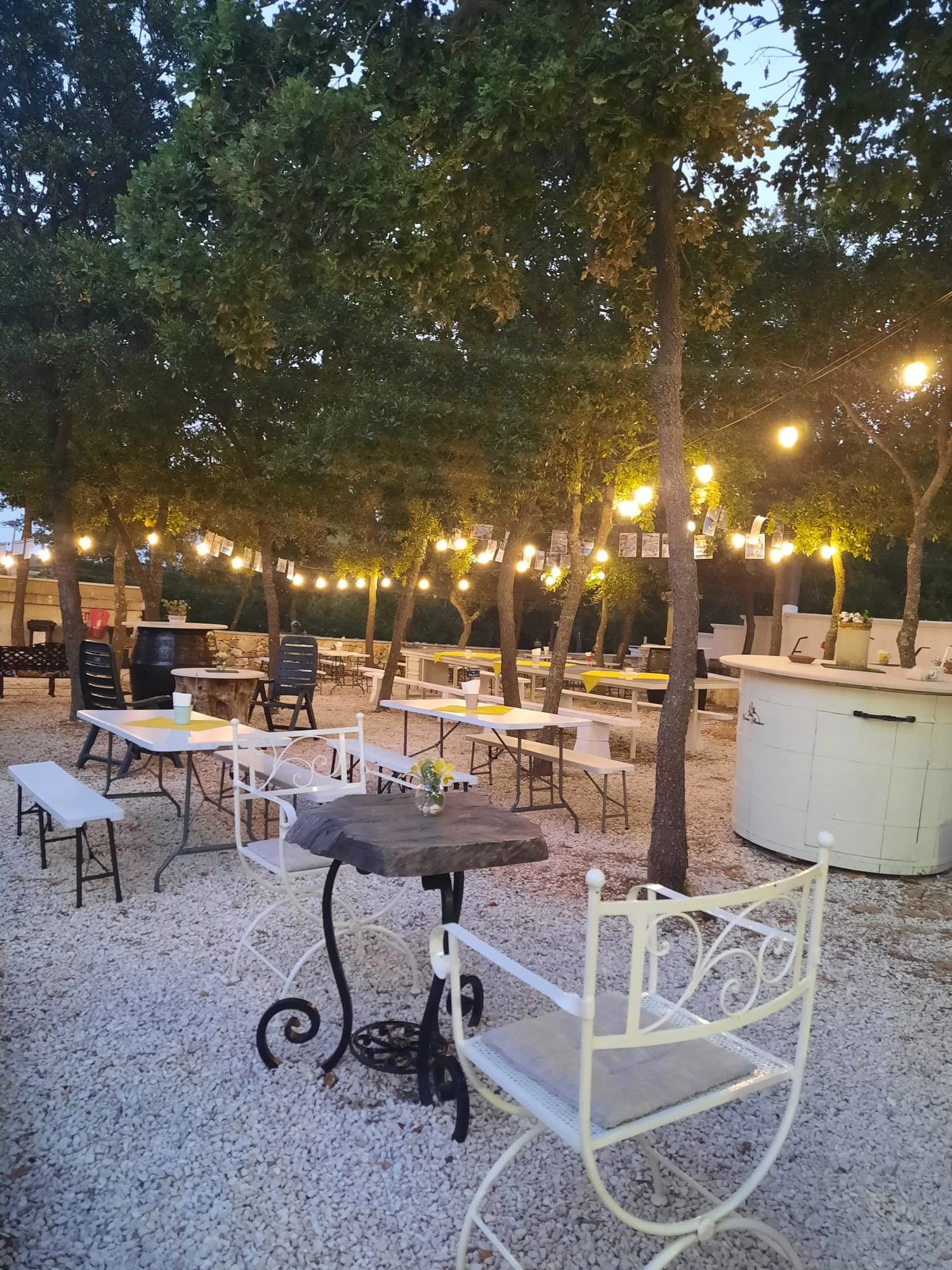 Galleria Dimora Plantone 30