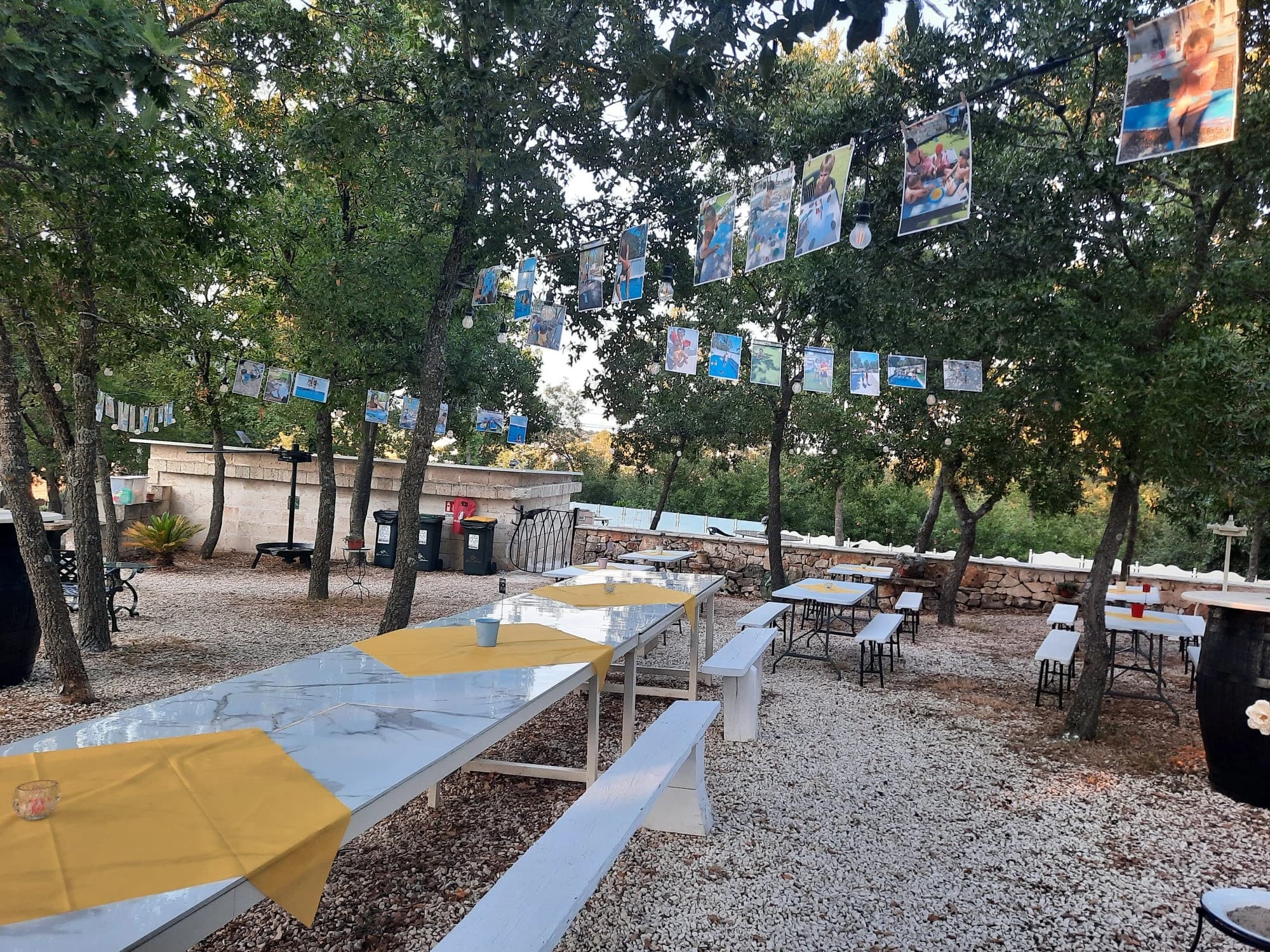 Galleria Dimora Plantone 31